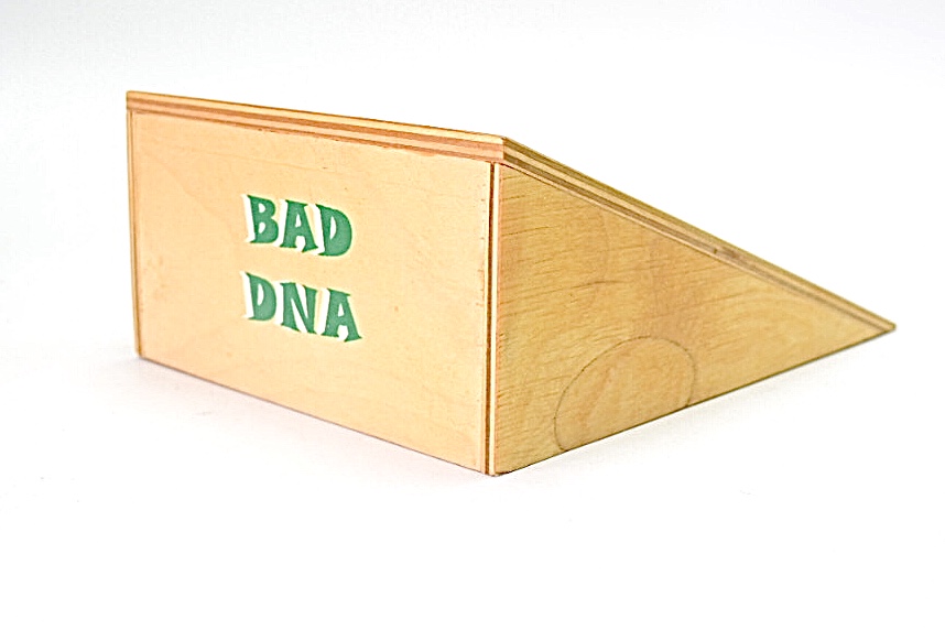 Bad DNA Kicker